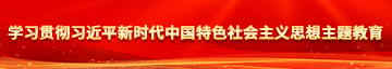 女人让狗日阴道网址学习贯彻习近平新时代中国特色社会主义思想主题教育